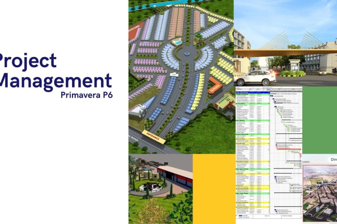 I will create primavera schedule, reports and gantt charts