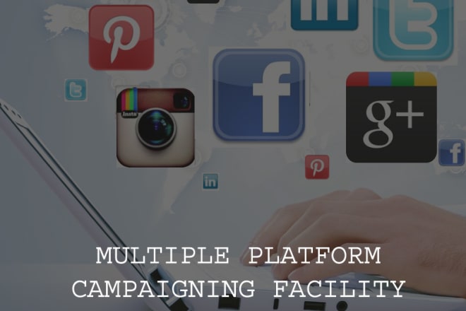 I will create your social media ads and handle them professionally