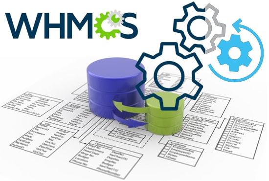 I will custom whmcs development and integration