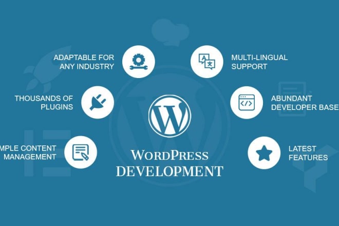 I will customization and creation of wordpress sites