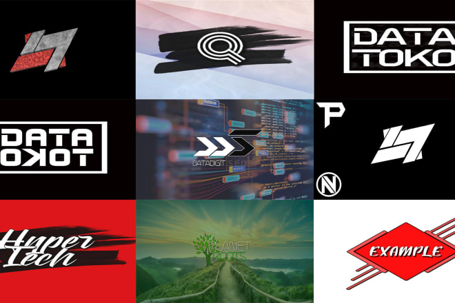 I will design a professional and high quality logo