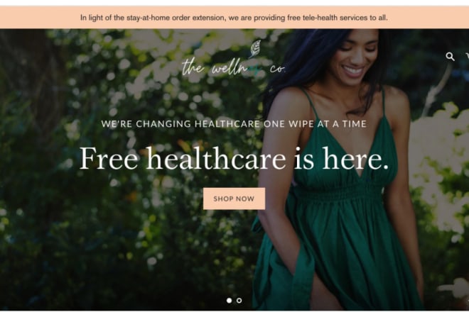 I will design a professional shopify website