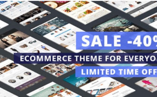 I will design and develop responsive SEO friendly wordpress site