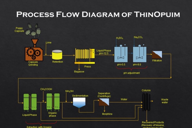 I will design infographics, process flow diagram, data flow chart