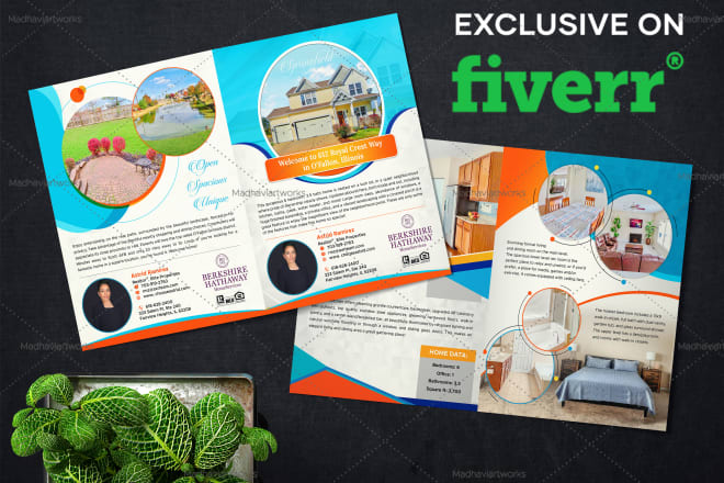 I will design professional bi fold or multi page brochure