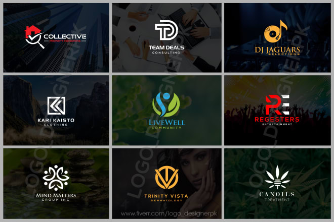 I will design professional versatile minimalist and redesign business logo