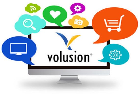 I will design,develop volusion ecommerce website for your business