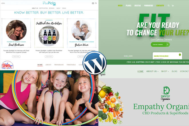 I will develop a professional wordpress website