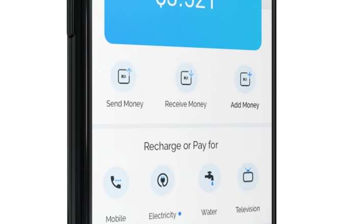 I will develop an online money transfer app