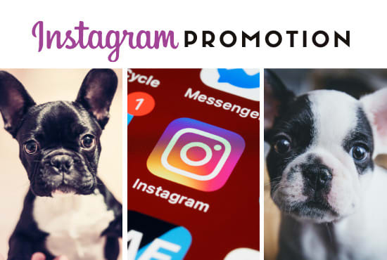 I will do an instagram shoutout on my 30k dog page