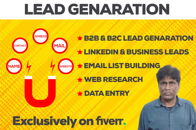 I will do any b2b or b2c lead generation and data entry