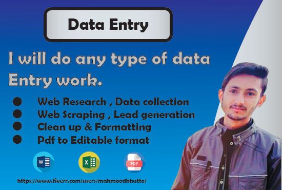 I will do any type of data collection, copy paste typing job, data entry jobs