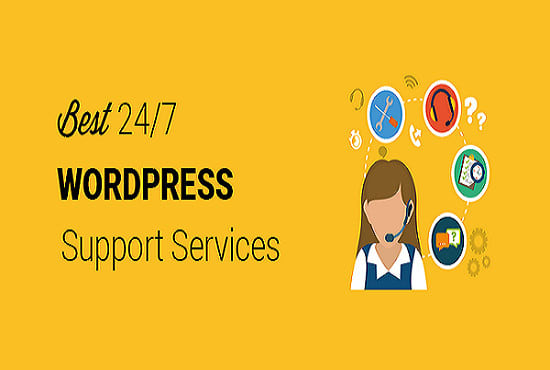 I will do any wordpress related task