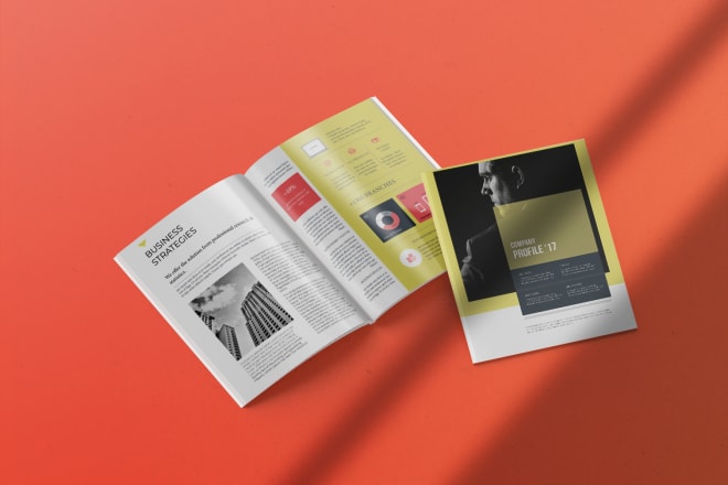 I will do company brochure, business brochure, corporate brochure