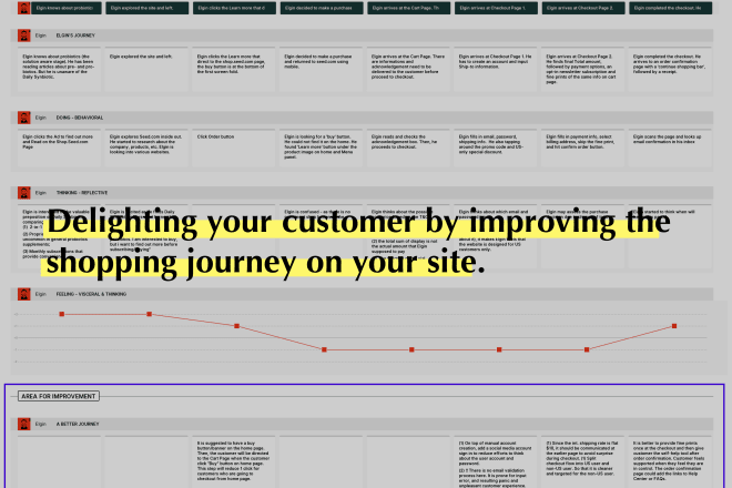 I will do customer journey mapping for your ecommerce shop