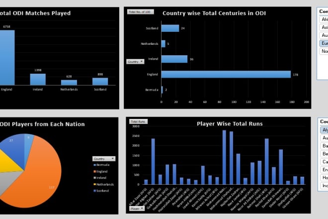 I will do data analysis, data visualization, data cleaning, ml models