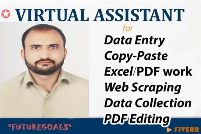 I will do data entry, web scraping, data mining, copy paste
