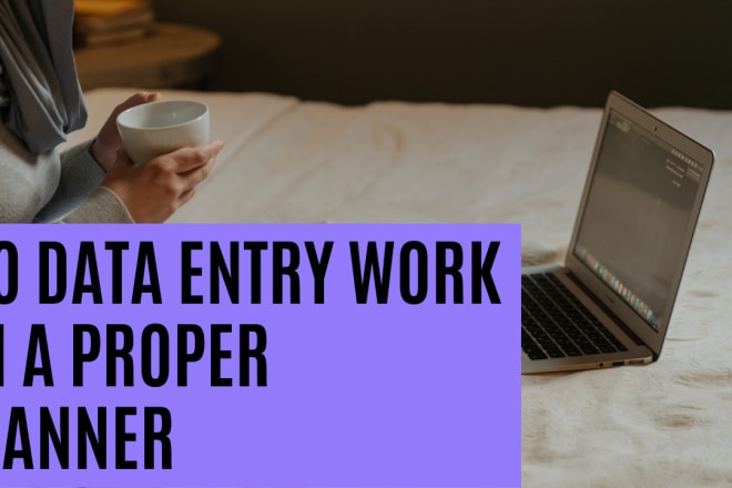 I will do data entry work in proper manner