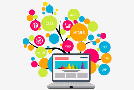 I will do e commerce sites, wordpress, woo commerce, shopify development or custom