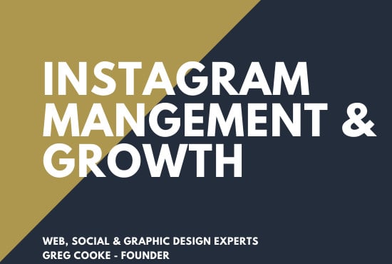 I will do ecommerce instagram content creation and growth management