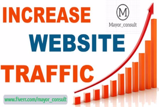 I will do etsy traffic amazon shopify store promotion to get sales