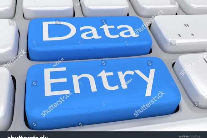I will do fast excel data entry and web research
