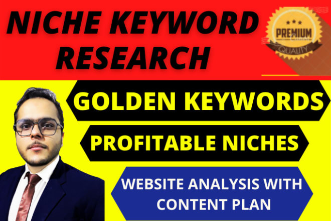 I will do niche, SEO keyword research,website analysis,content plan