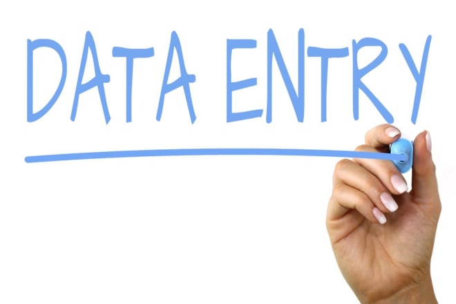 I will do offline and online data entry jobs