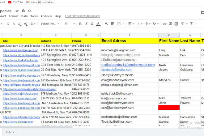 I will do online and offline data entry, copy paste, typing jobs