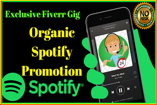 I will do organic spotify promotion