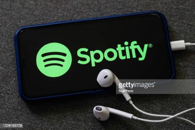 I will do organic spotify promotion to get more plays