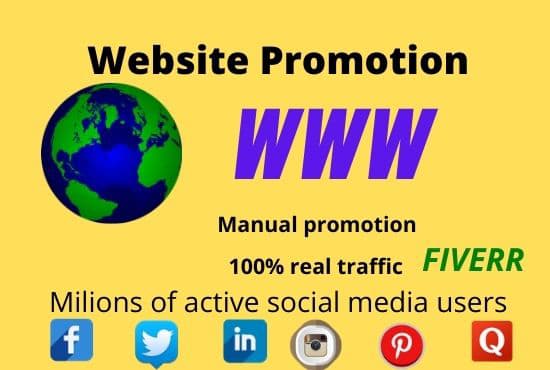 I will do organic website promotion