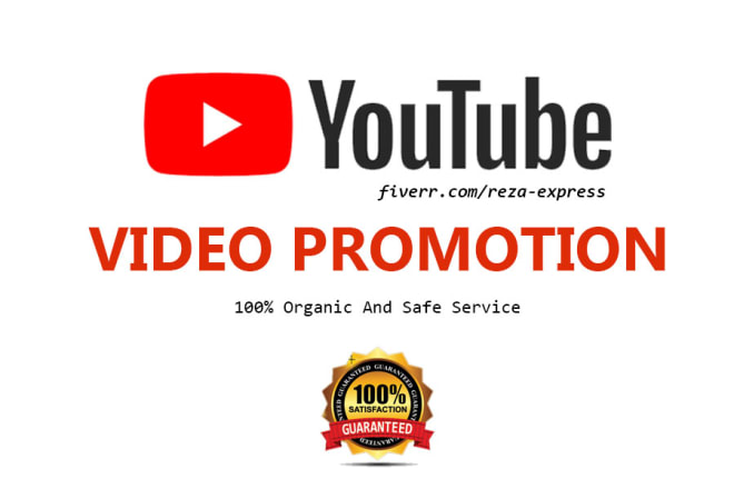I will do organic youtube promotion and make viral video promotion