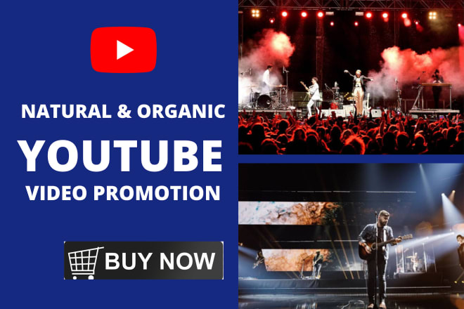 I will do organic youtube video promotion