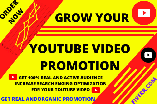 I will do organic youtube video promotion