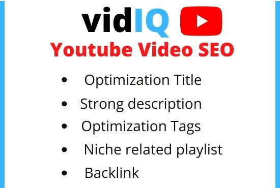 I will do organic youtube video SEO with vidiq