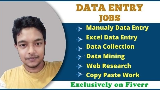 I will do perfect data entry job