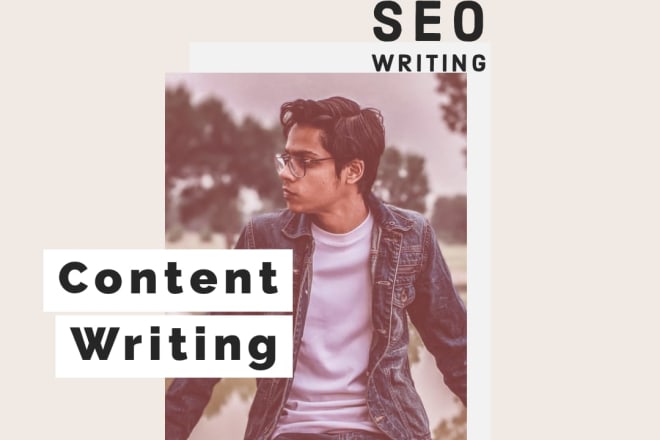 I will do seo blog post writing or article writing for your website