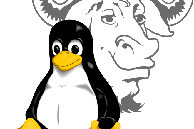 I will do setup and troubleshooting for gnu linux related system