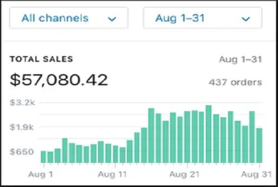 I will do shopify marketing promotiion, sales, expert, website, facebook, SEO ecommerce