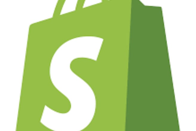 I will do shopify marketing, promotion, facebook ads, ecommerce marketing for your stor