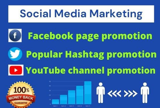 I will do social media marketing