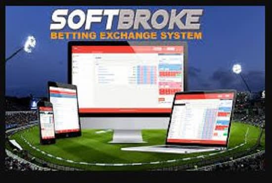 I will do sports API, sportsbook software, crypto site, betfair api