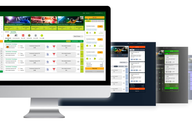 I will do sportsbook software, sports API, betfair API, crypto site