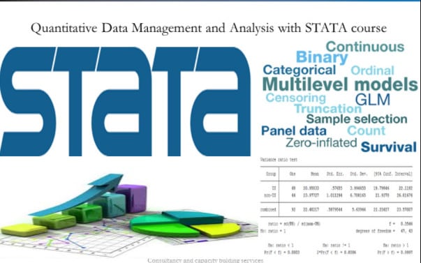 I will do statistical analysis, modeling and econometrics