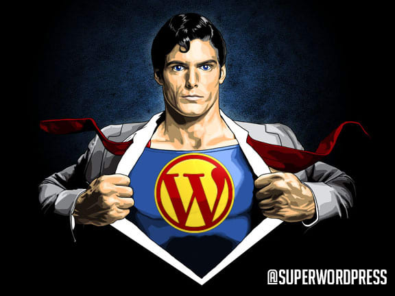 I will do super wordpress editing