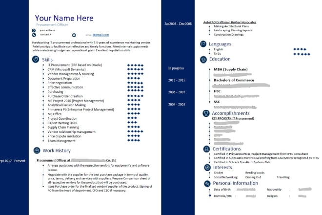I will do visual resume writing and editing