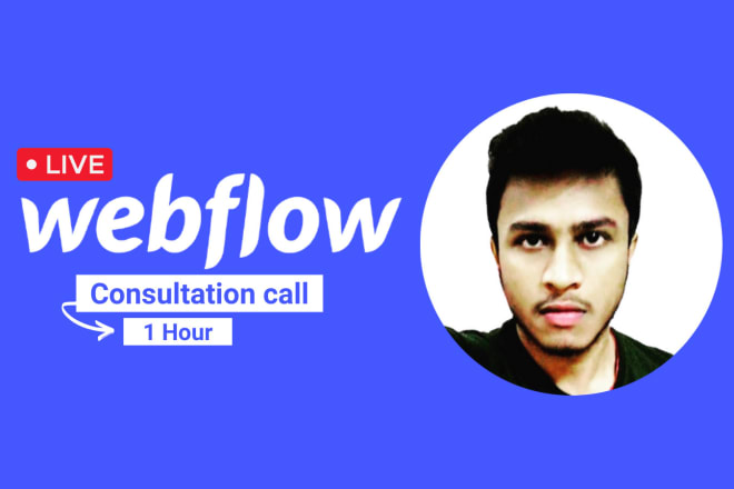 I will do webflow consulting one hour video call