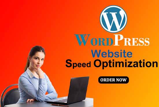 I will do website speed optimization