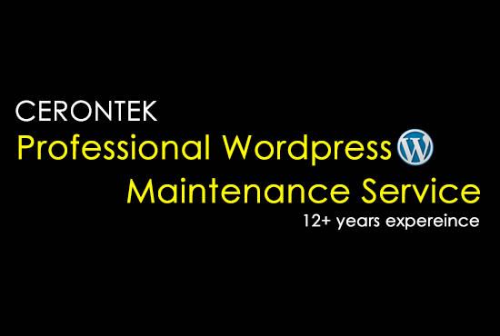 I will do wordpress update professionally